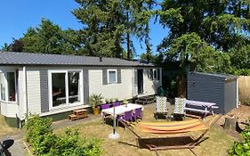 Ruim en modern chalet in de Veluwse bossen
